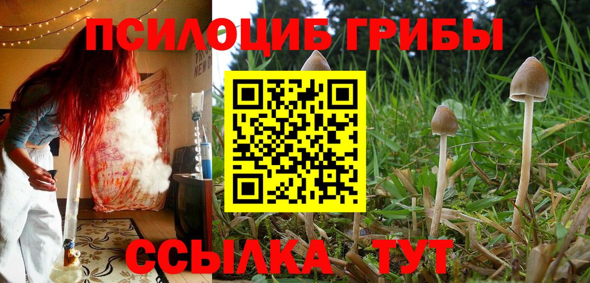 Псилоцибиновые грибы мицелий Ангарск